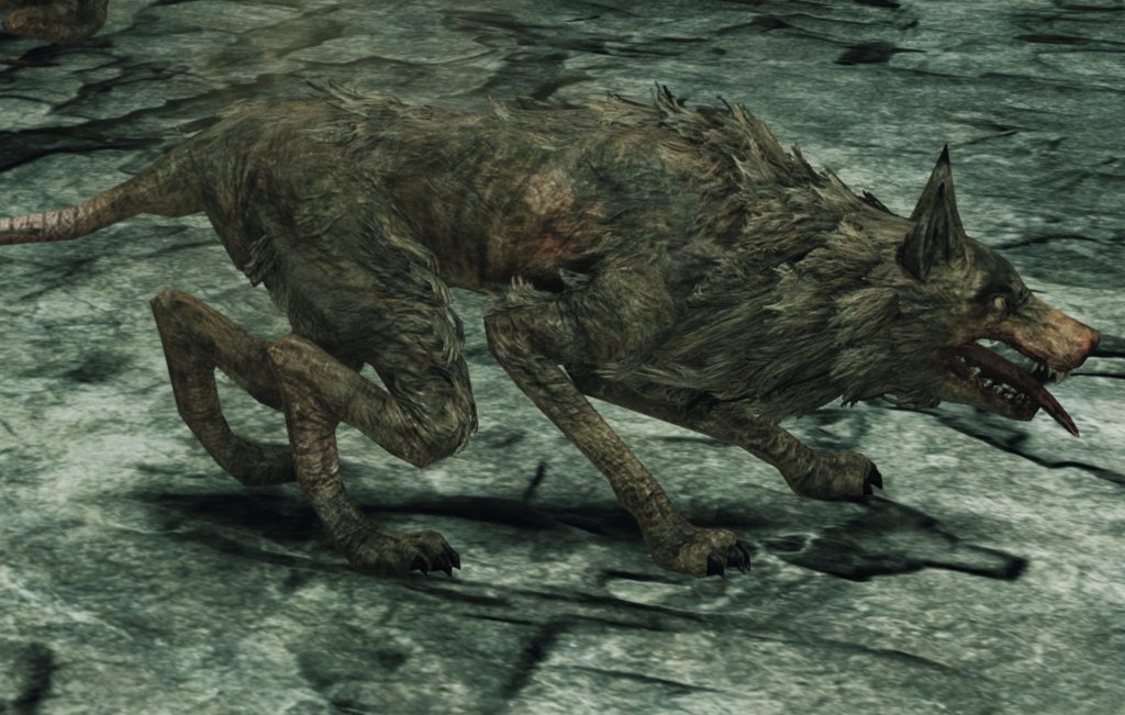 Dark Souls 2: Rat King Covenant 